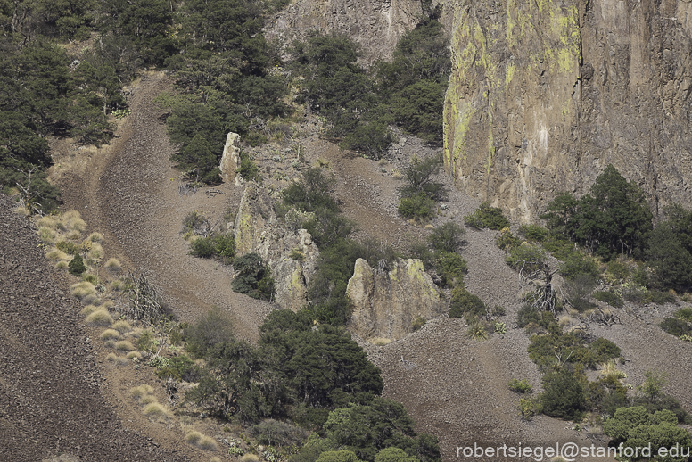 Big Bend National Park